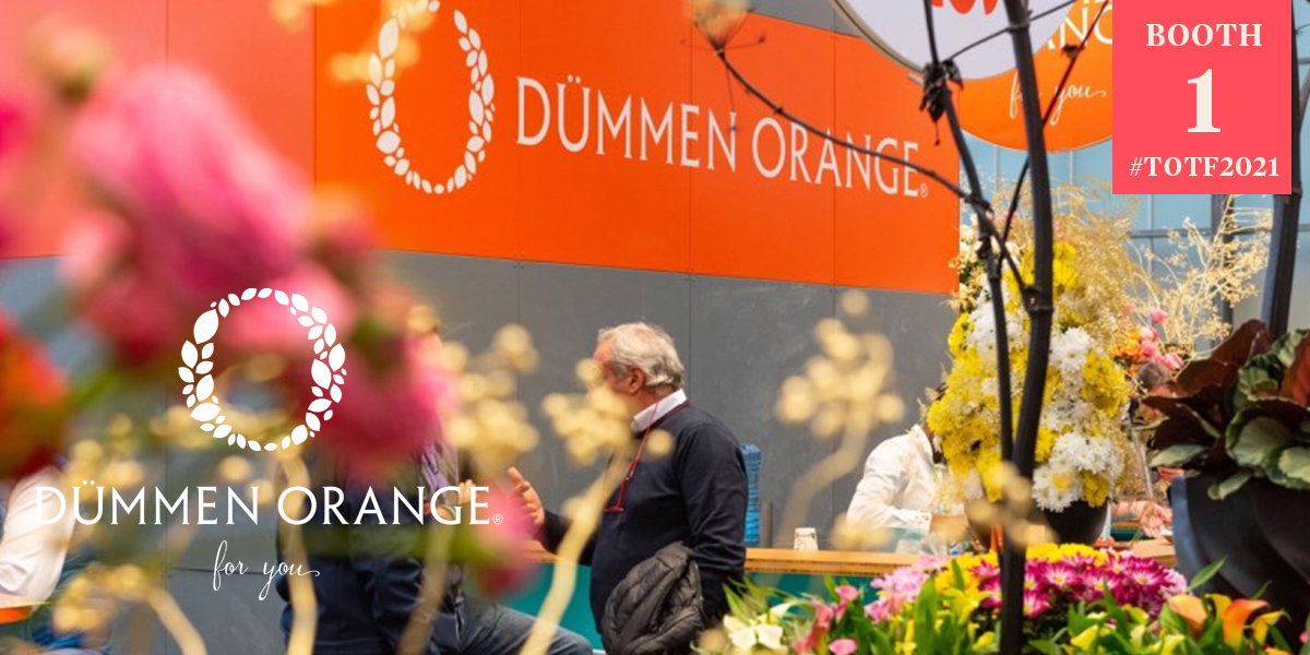 totf2021fe-welcome-to-the-dummen-orange-experience-header