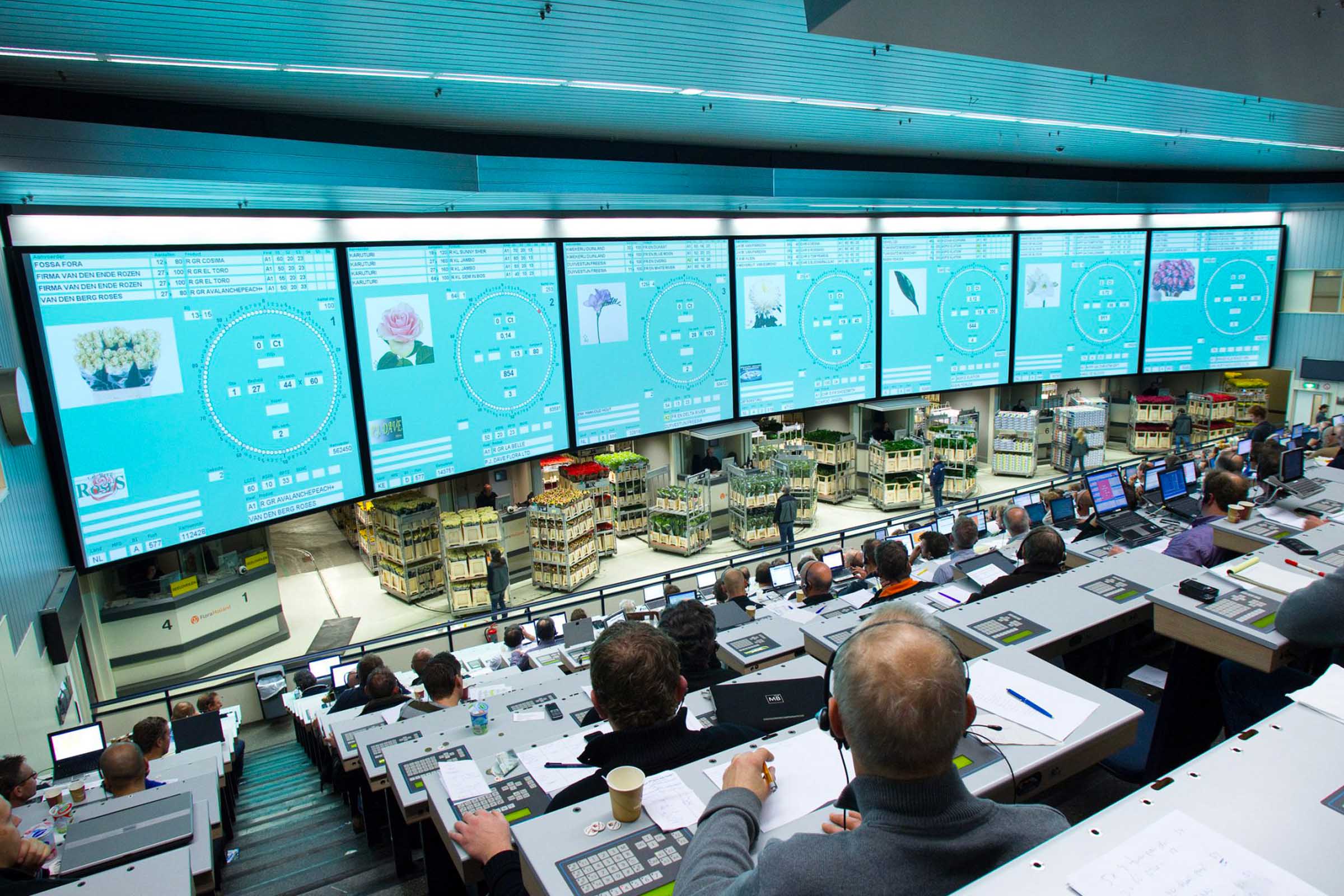 How Does Aalsmeer Flower Auction Work Best Flower Site