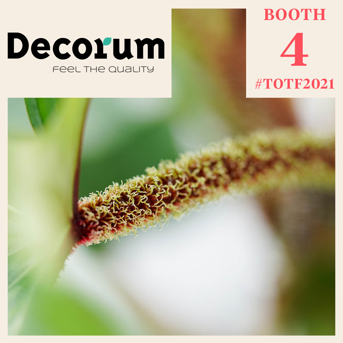 some-changes-are-about-to-happen-at-decorum-featured