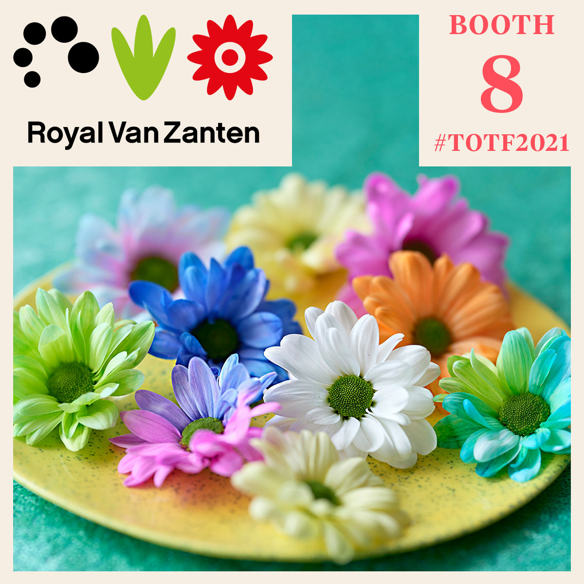 totf2021fe-royal-van-zantens-top-novelties-visible-in-a-hybrid-form-featured