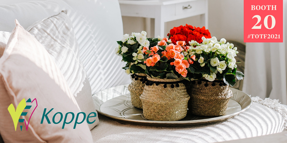 totf2021fe-whats-new-from-koppe-begonia-header
