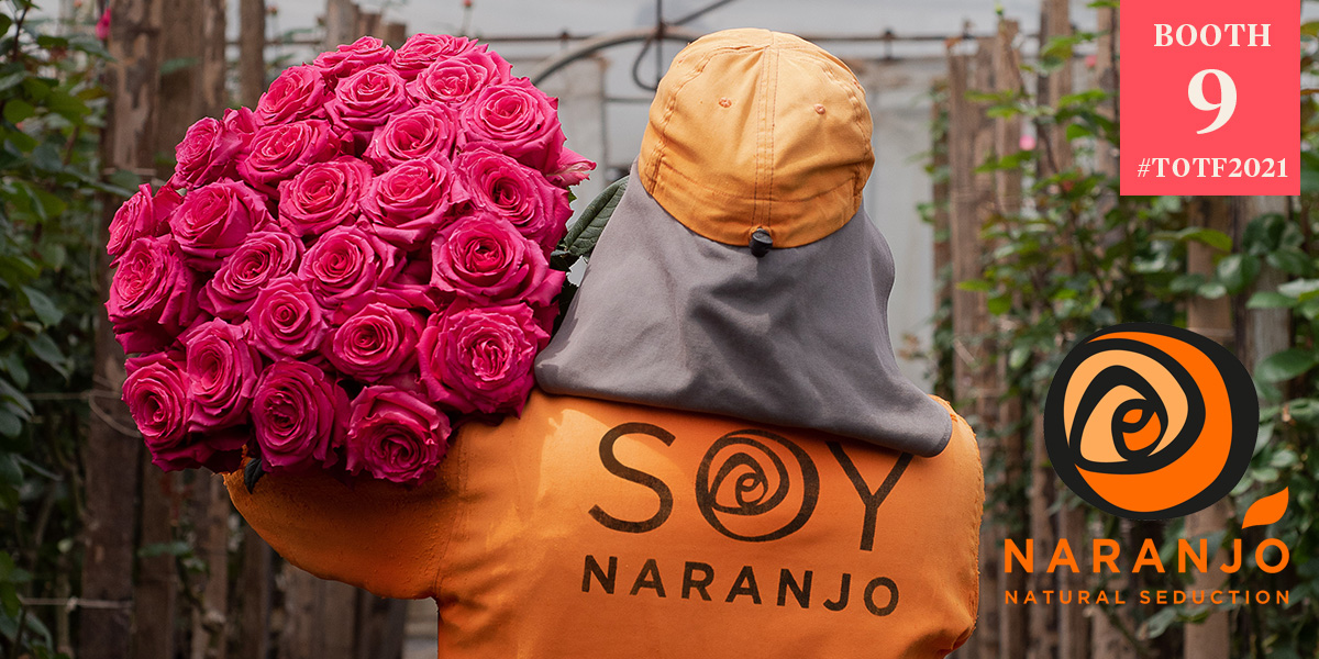 totf2021fe-naranjo-rose-group-at-totf2021-fall-edition-the-best-online-trade-fair-in-floriculture-header
