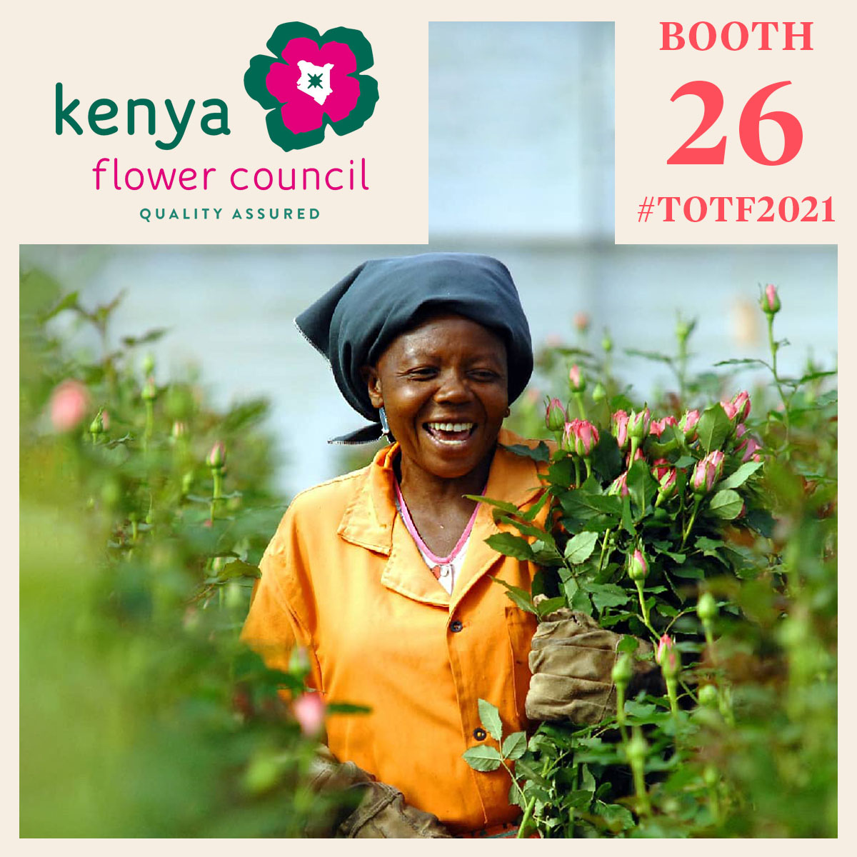 totf2021fe-kfc-is-at-the-forefront-of-promoting-kenyas-floriculture-featured
