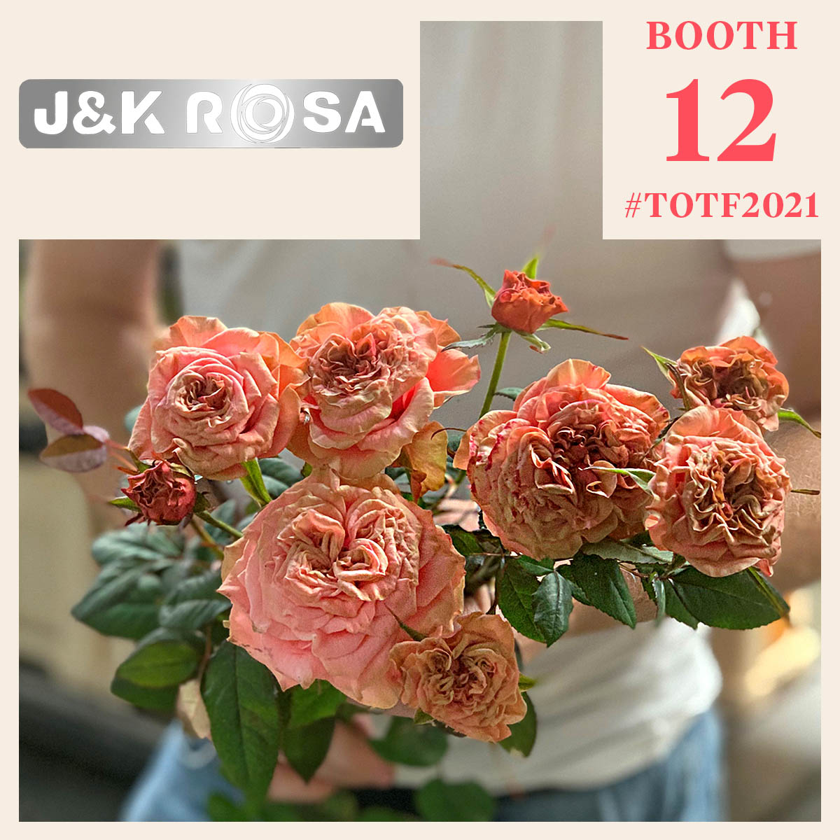 the-viking-specials-and-the-queen-rose-variety-of-jk-rosa-featured