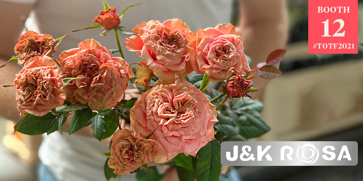 the-viking-specials-and-the-queen-rose-variety-of-jk-rosa-header