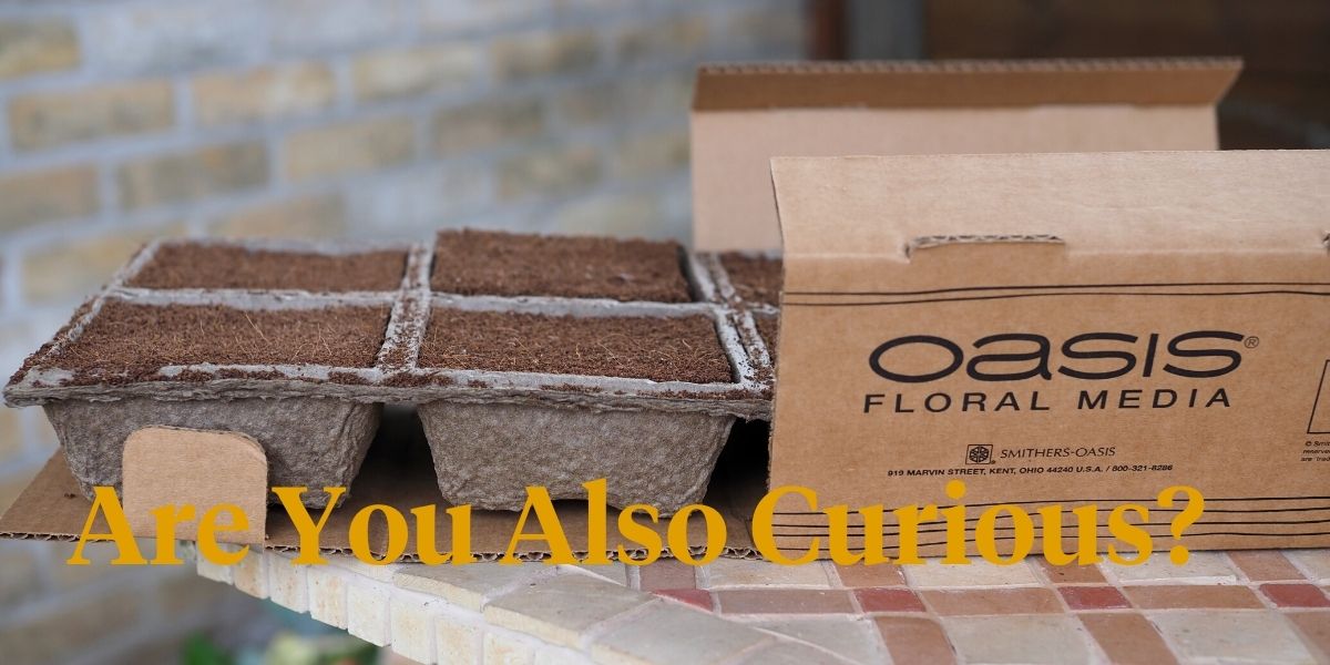 everything-you-want-and-need-to-know-about-the-new-oasis-terrabrick-floral-media-header