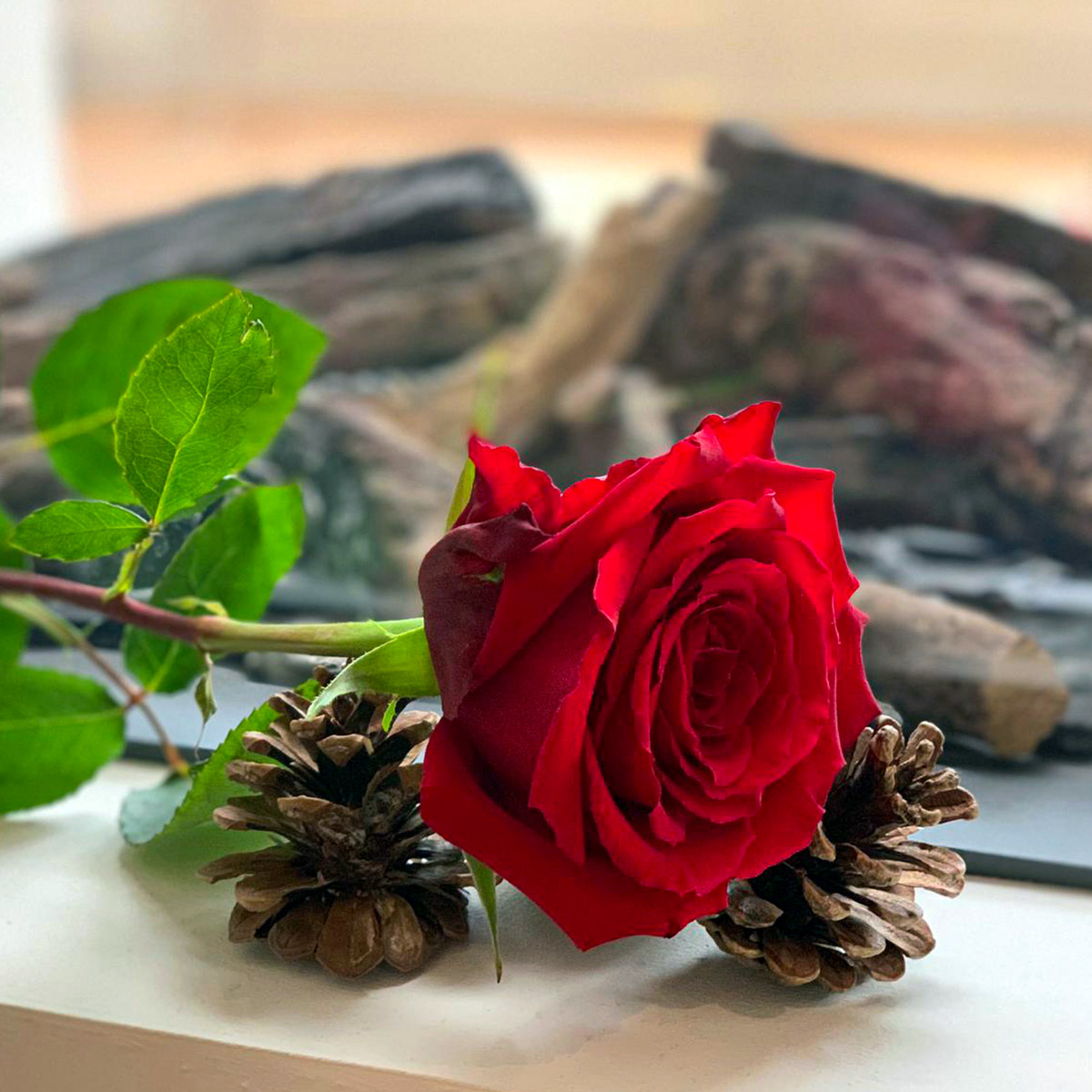 What Makes a Top Red Rose at United Selections? - Article on Thursd