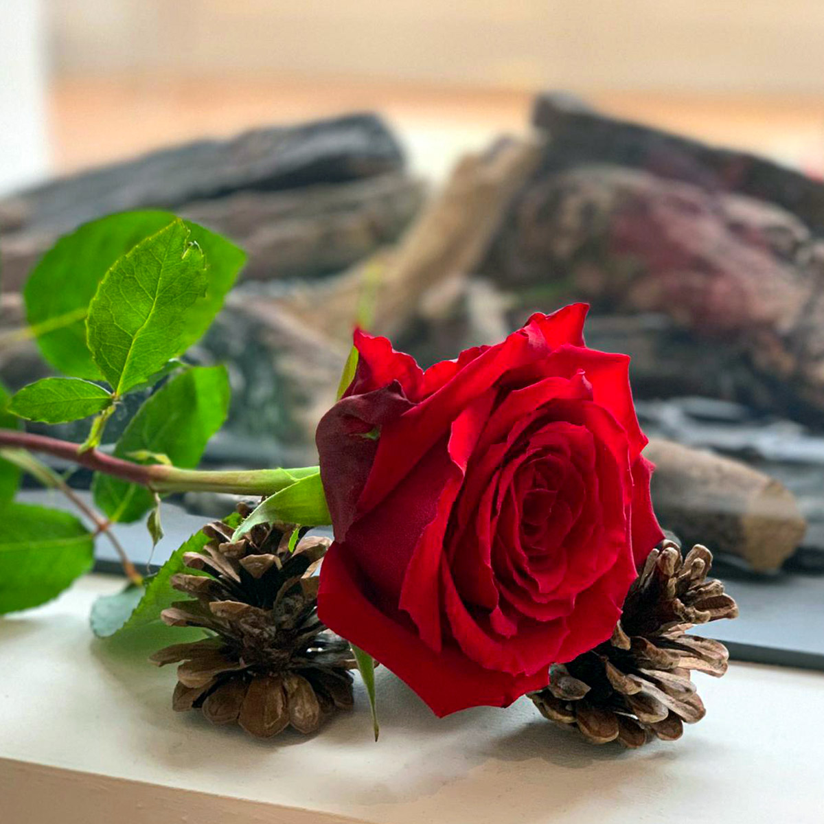 What Makes a Top Red Rose at United Selections? - Article onThursd