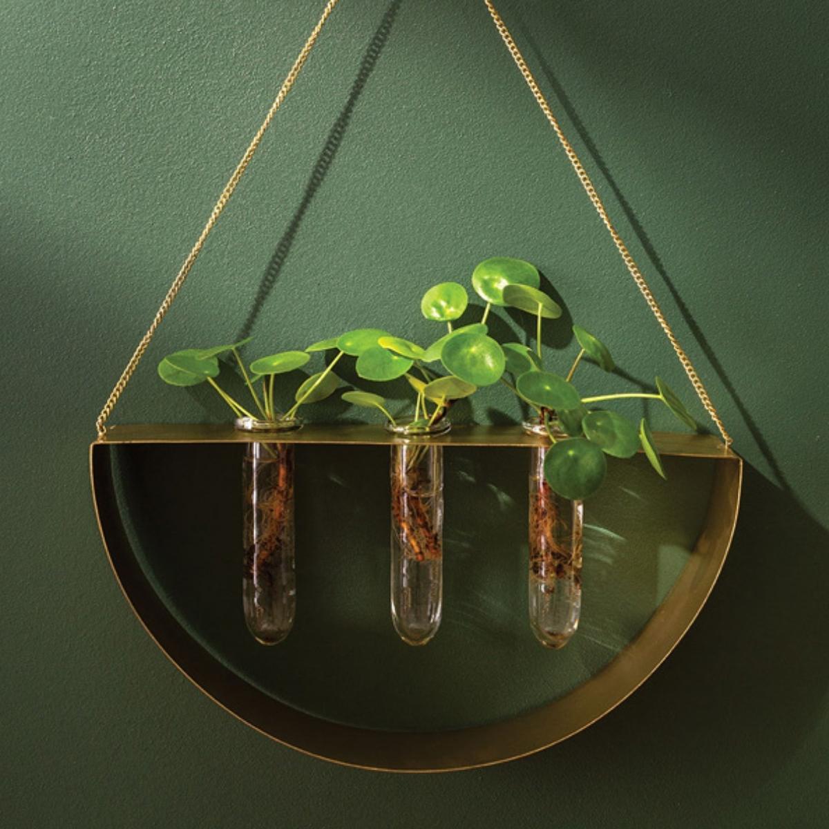 Discover more than 105 accent decor norcross latest seven.edu.vn