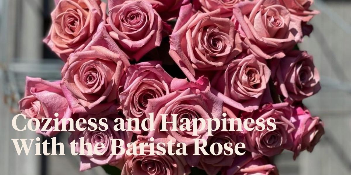 the-warm-and-inviting-shades-of-the-rose-barista-header