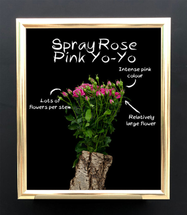 TOTF2020 Decorum Flower Novelties