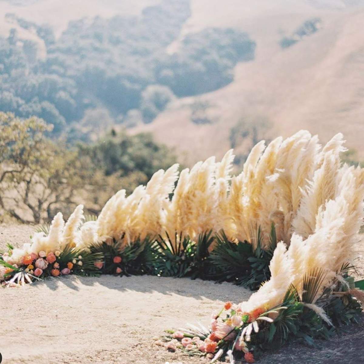 Noonan's Designs Florist onThursd