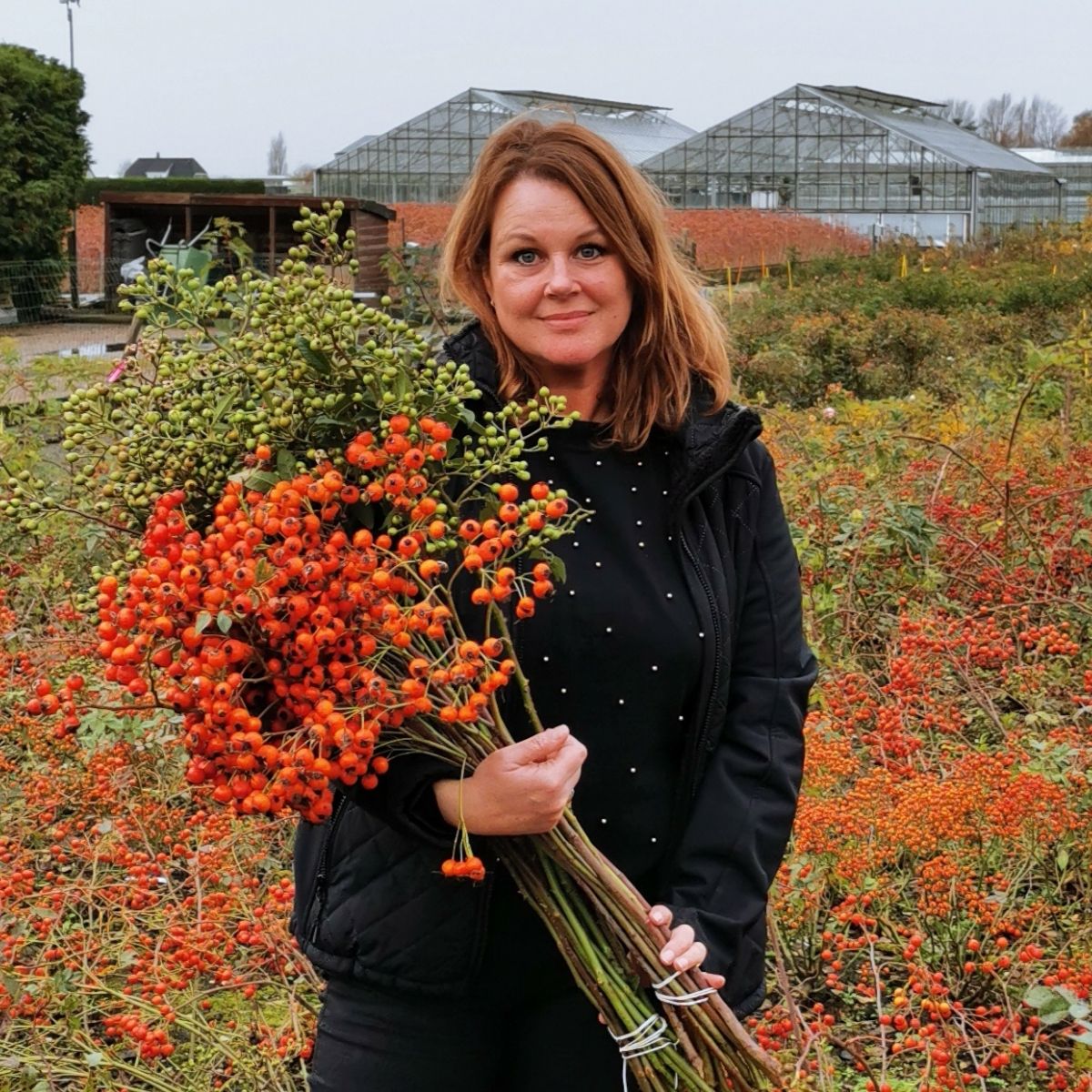 Rosehips at the Testing Field Near Amstelveen With Inge Quint