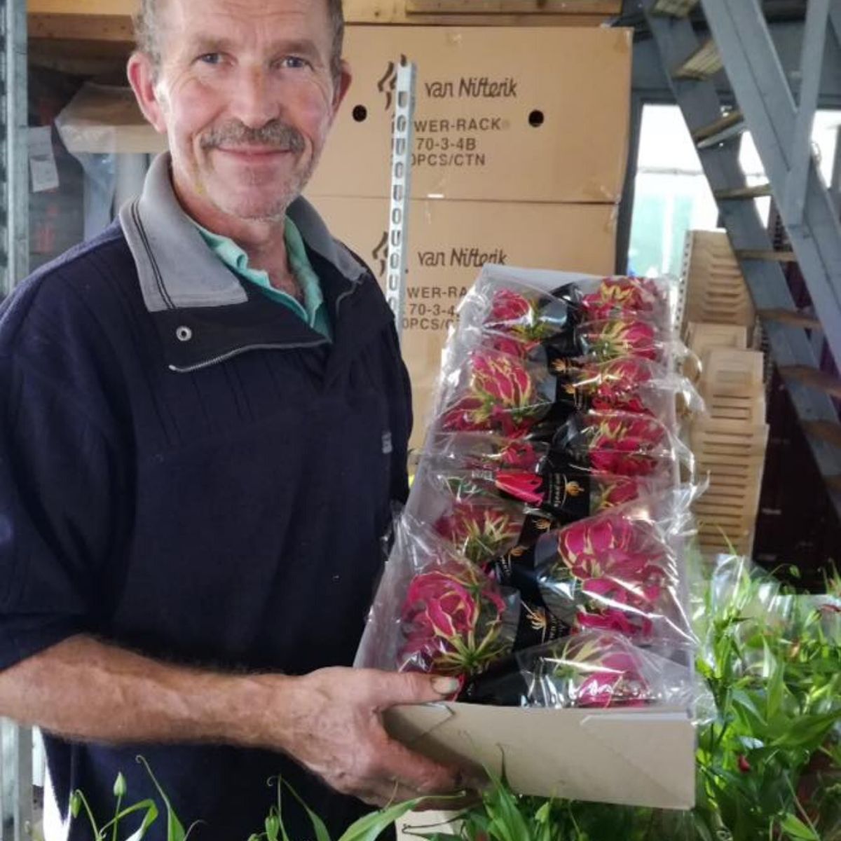 crown-jewels-gloriosa-grower-on-thursd-featured