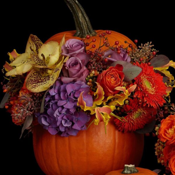 Neil Strain - Flower Filled Pumpkin Designs From Around the World - on thursd