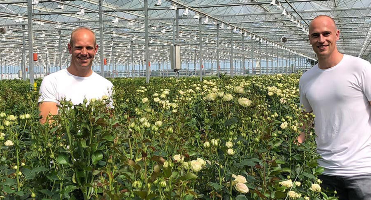 voorn-spray-roses-grower-on-thursd-header