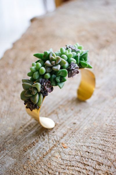 succulent ring