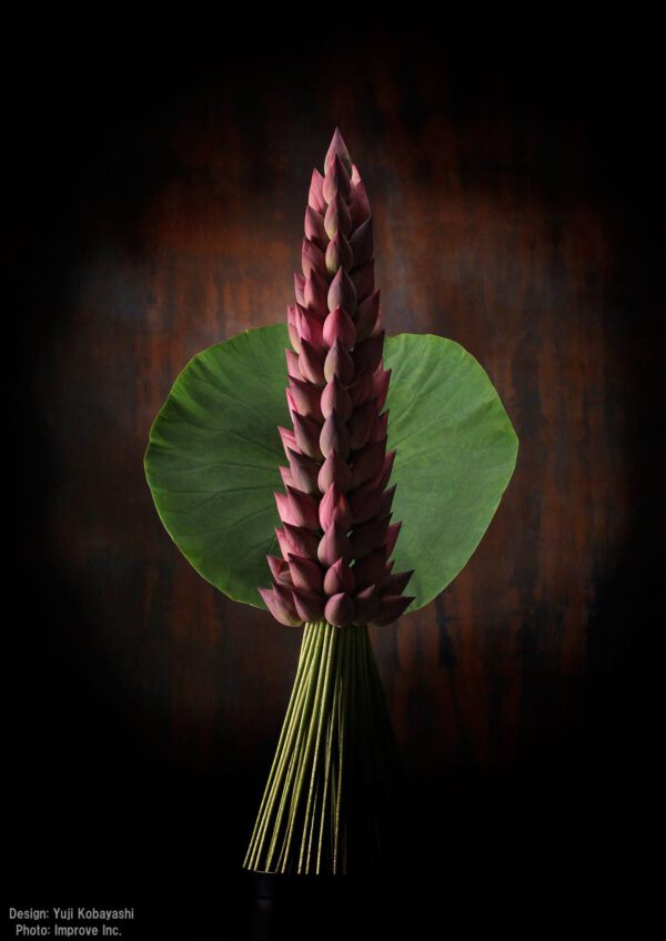 Lotus flower design by Yuji Kobayashi