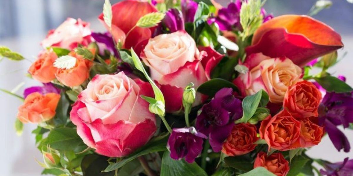 Flamingo Horticulture Ltd.