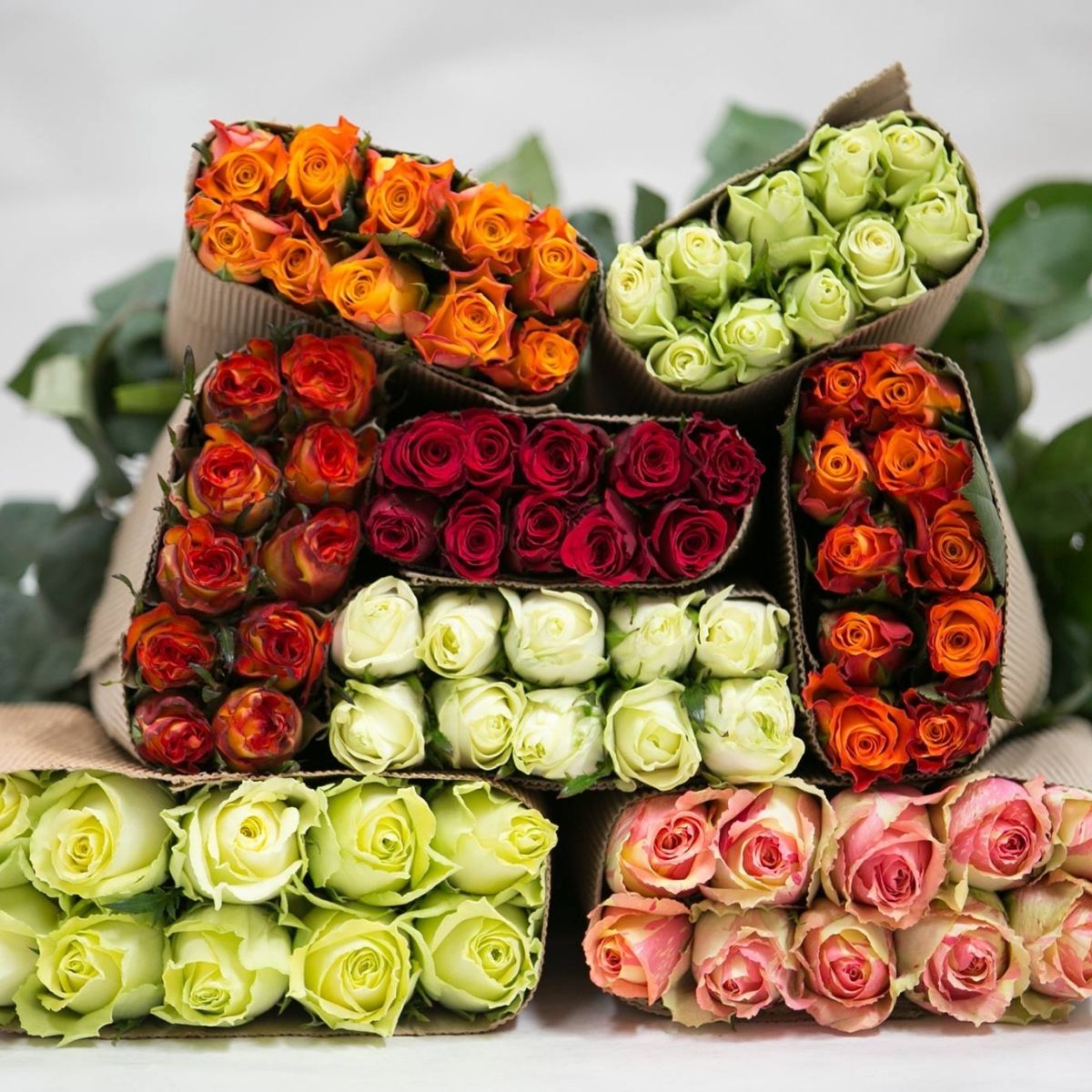 fontana-flowers-ltd-featured-photo-mixed-roses-on-thursd