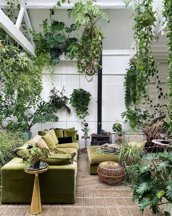 Plant Design Favorites on Instagram urban jungle
