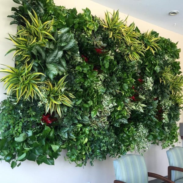 Plant Design Favorites on Instagram green plant wall