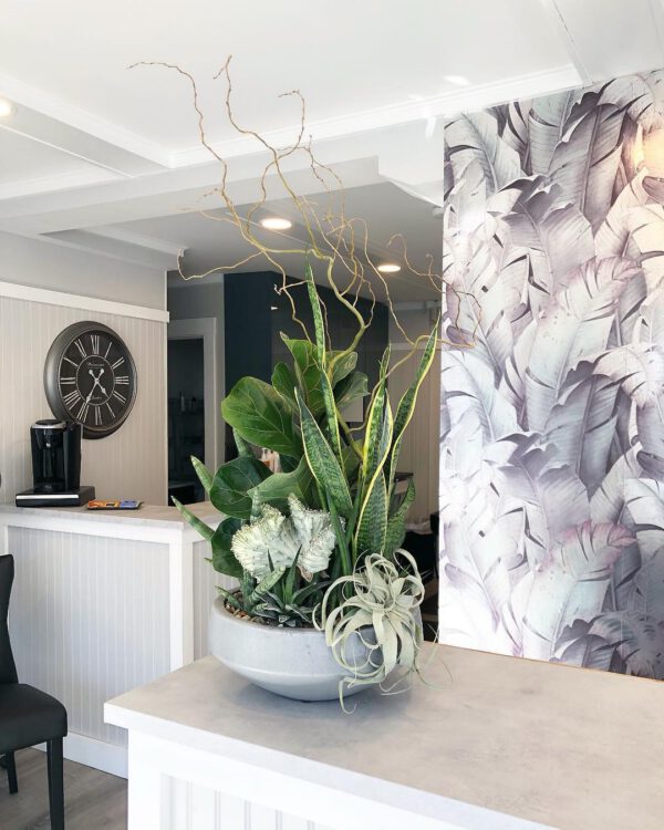 Plant Design Favorites on Instagram office plant arrangement