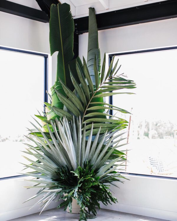 Plant Design Favorites on Instagram green leaves