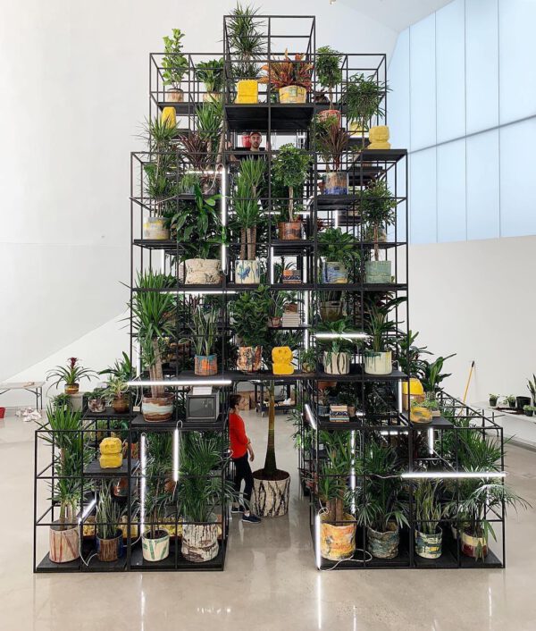Plant Design Favorites on Instagram plant installation Rashid Johnson