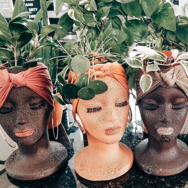 Plant Design Favorites on Instagram plant pots