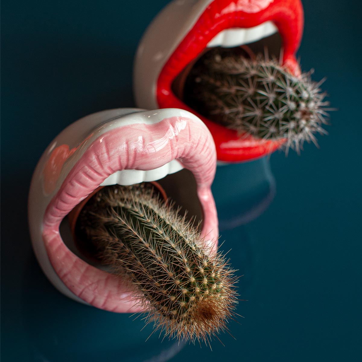sexy-lip-planter-featured