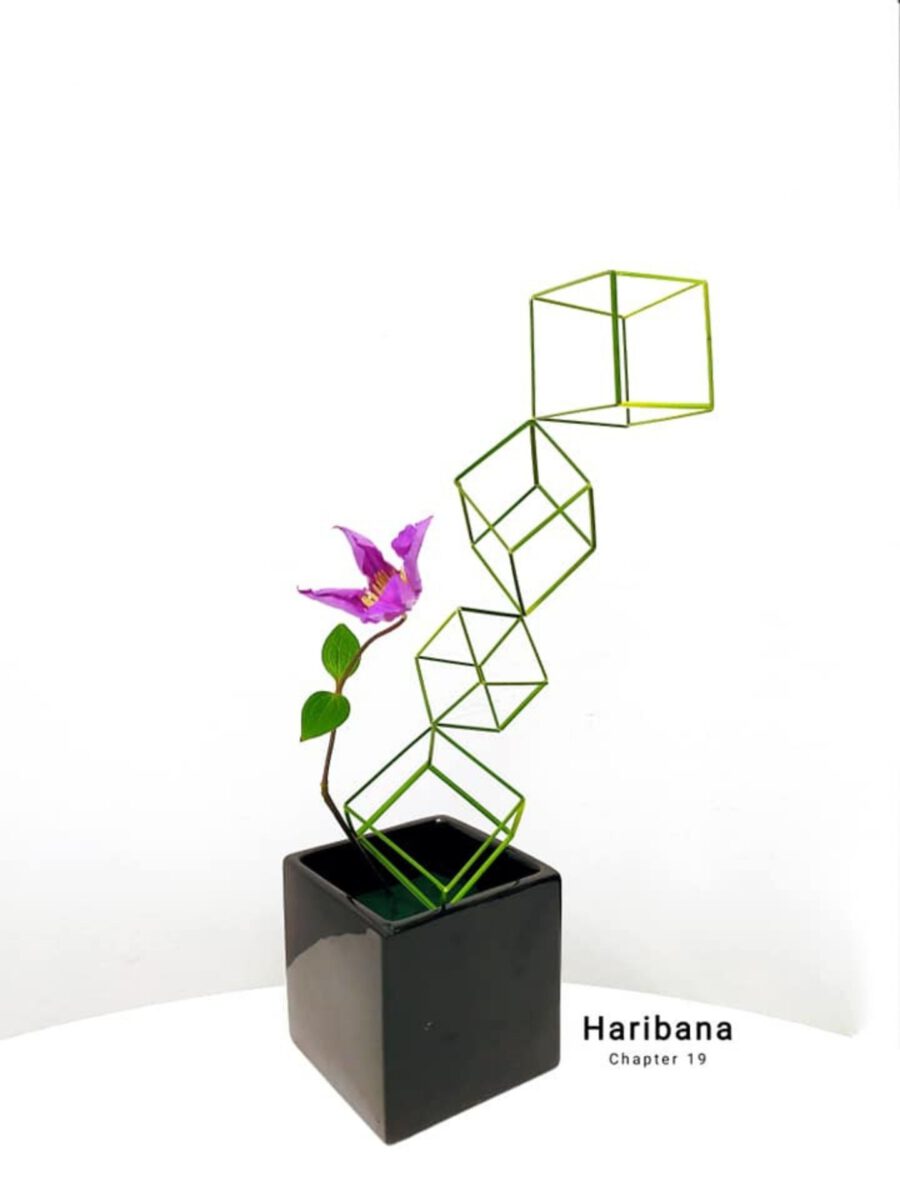 I Named it Haribana - Harijanto Setiawan 09