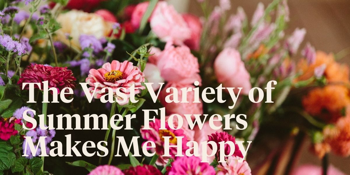 what-is-your-favorite-summer-flower-and-why-header