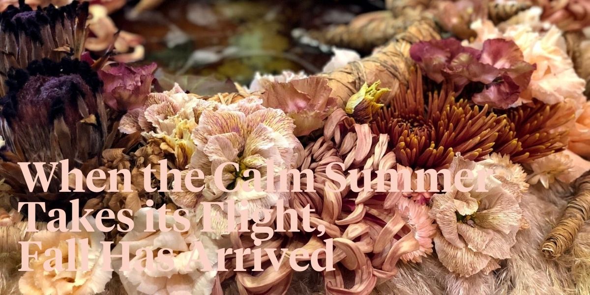 a-fall-story-shared-with-warm-colored-flowers-header