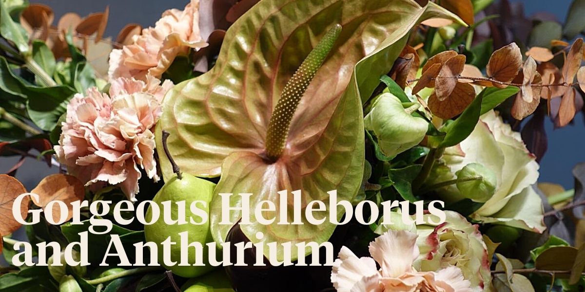 gorgeous-helleborus-and-anthurium-header