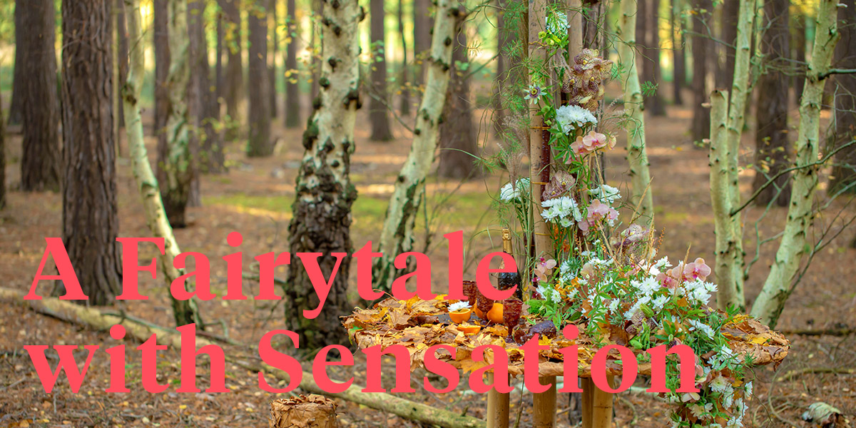 my-fairytale-in-the-woods-header