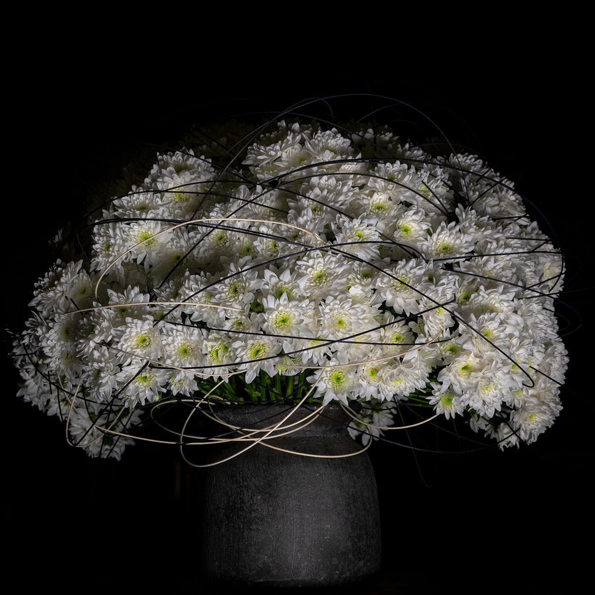 chrysanthemums-in-black-and-white-featured