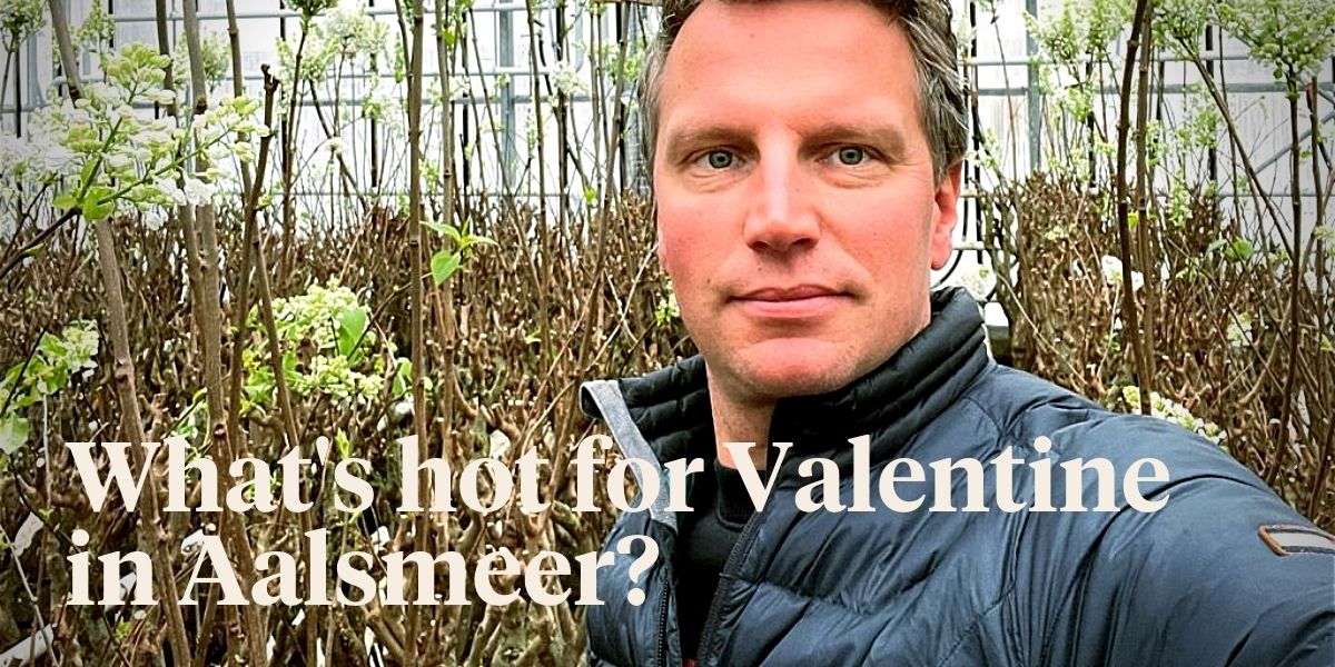 peters-weekly-menu-2021-valentine-flowers-in-aalsmeer-header