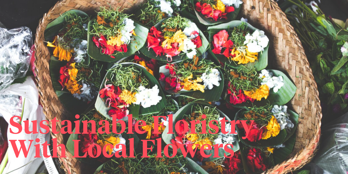 the-flowers-of-bali-header