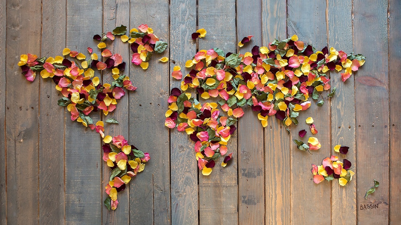 Rose petals world map by Charlotte Bassin on Thursd