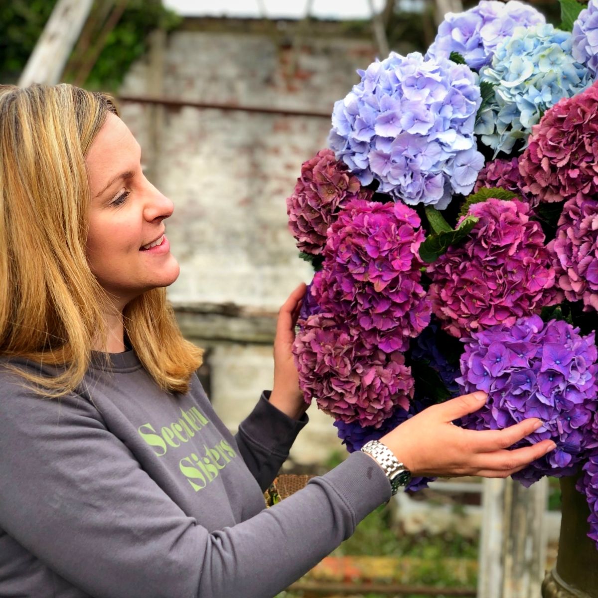 the-versatility-of-the-hydrangea-featured