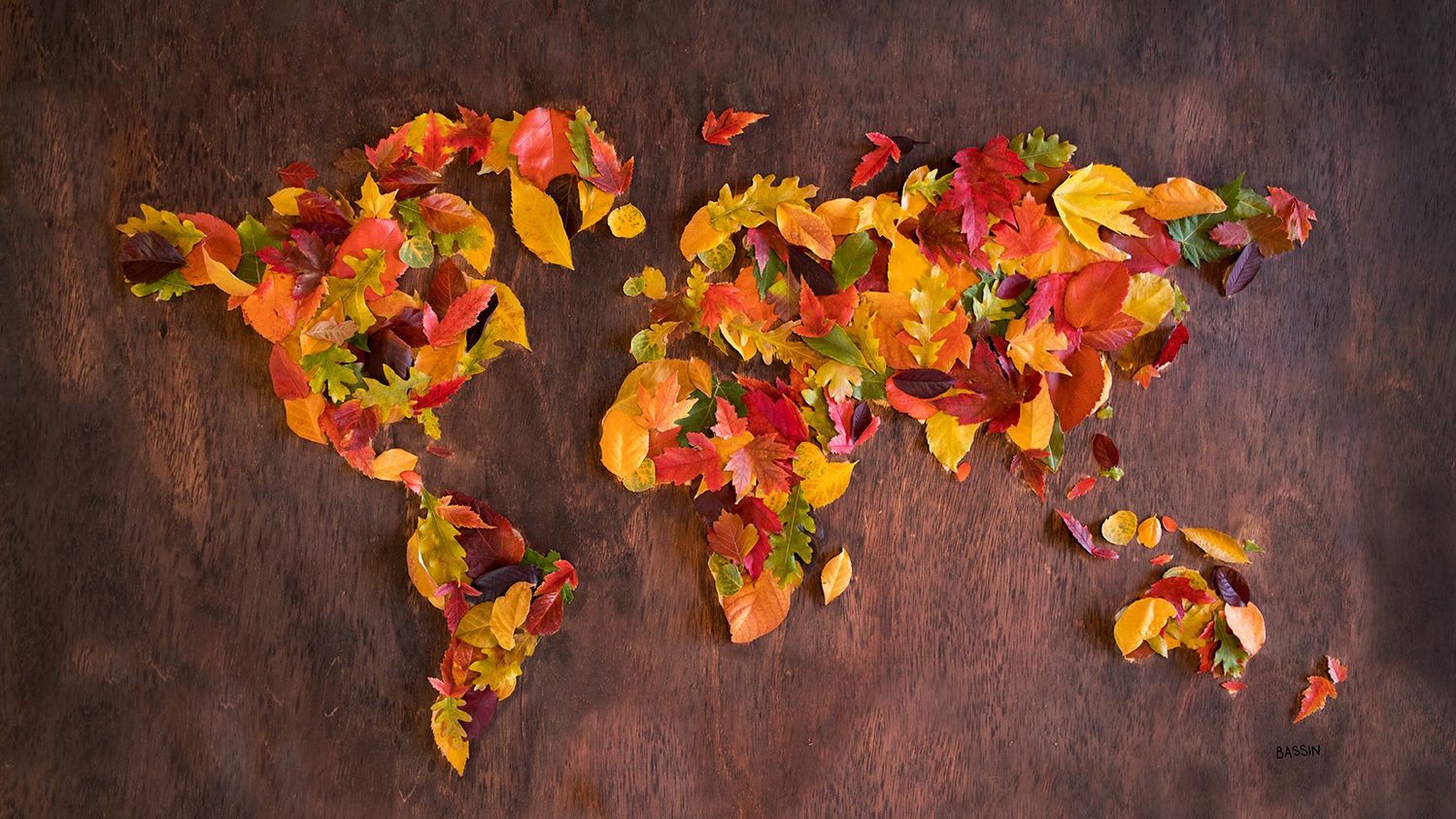 Fall Foliage Floral Map by Charlotte Bassin on Thursd