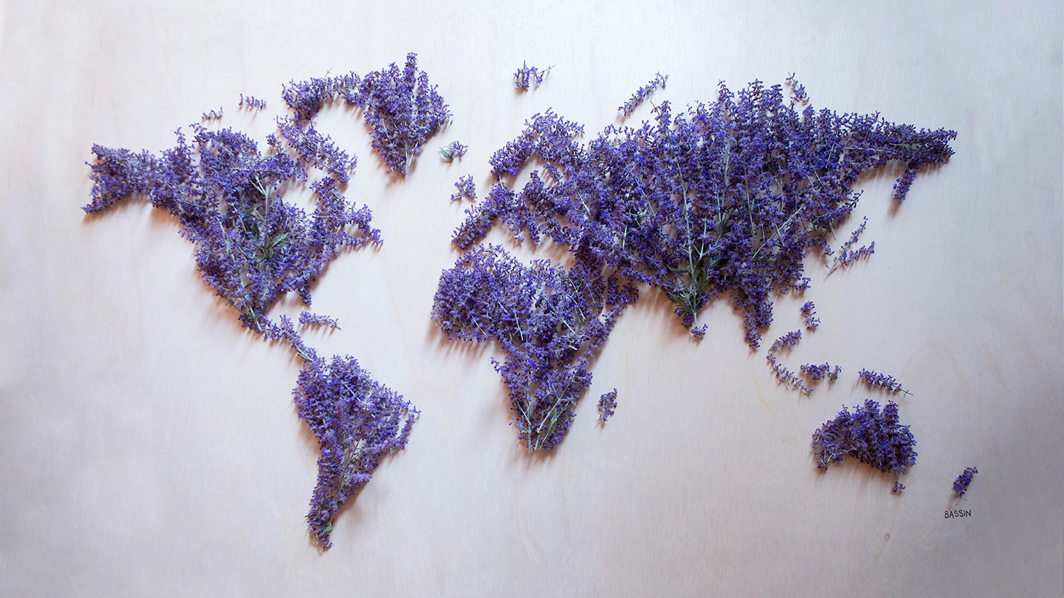 Russian Sage World Map by Charlotte Bassin on Thursd