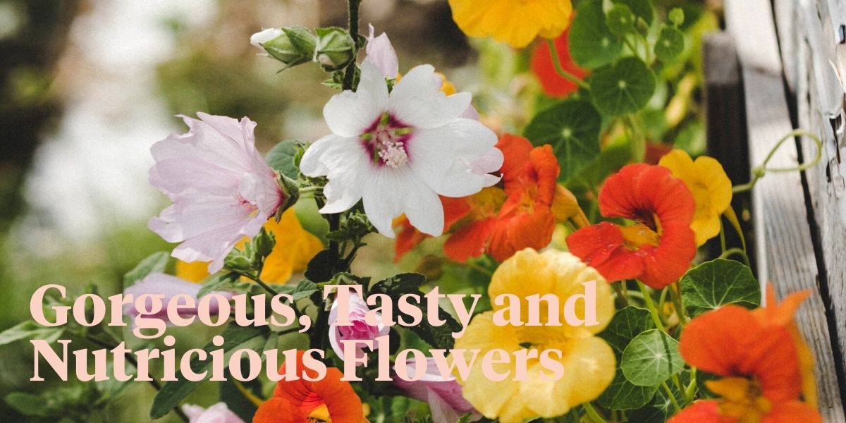 16-flowers-you-can-actually-eat-header