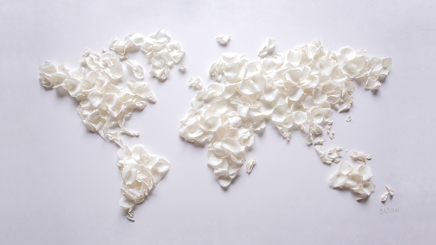 White rose petals World Map by Charlotte Bassin on Thursd