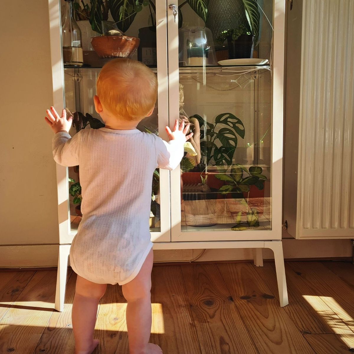 9-tips-for-living-with-a-baby-in-a-house-full-of-plants-featured
