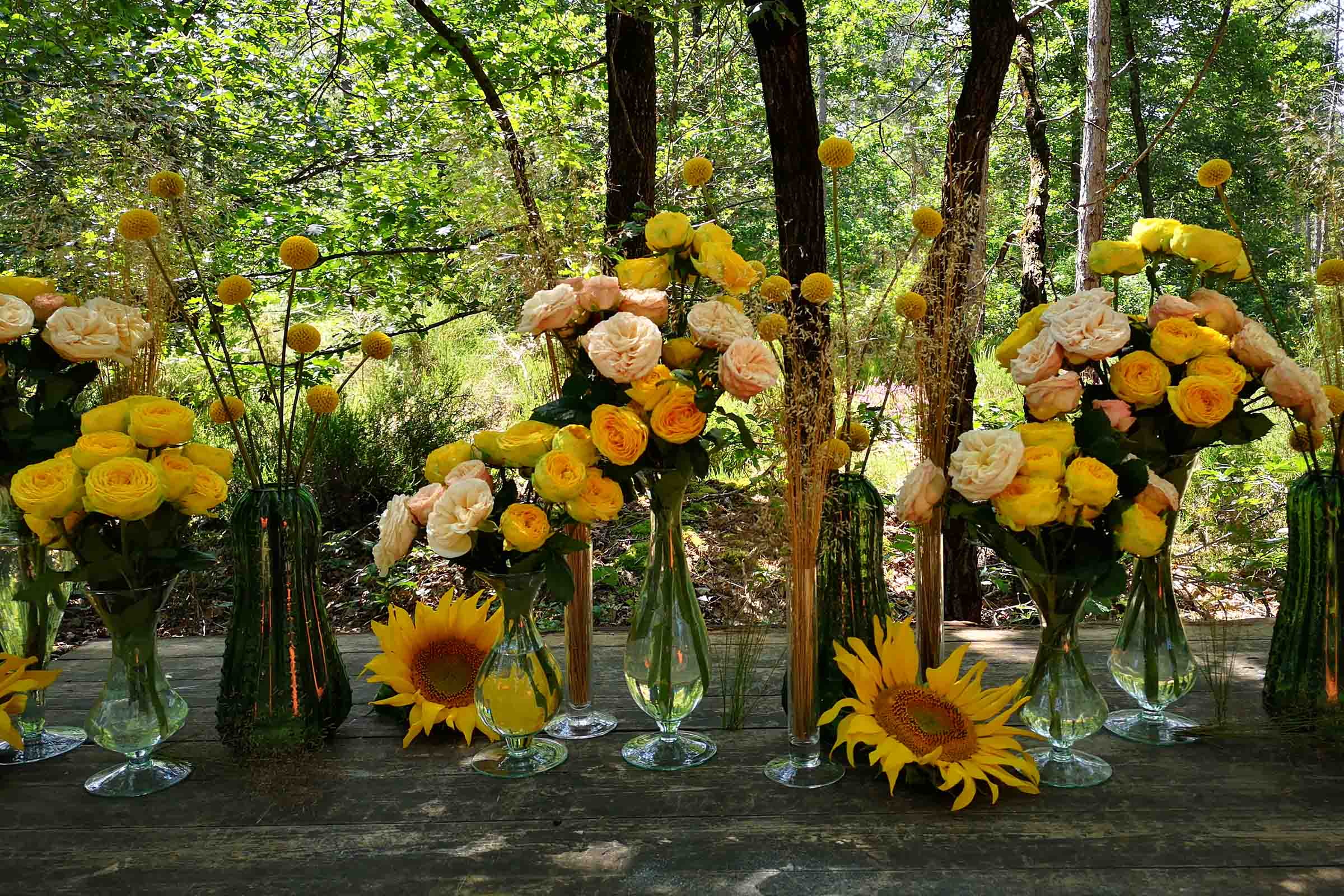 a-brunch-in-the-forest-with-roses-golden-gentle-trendsetter-featured