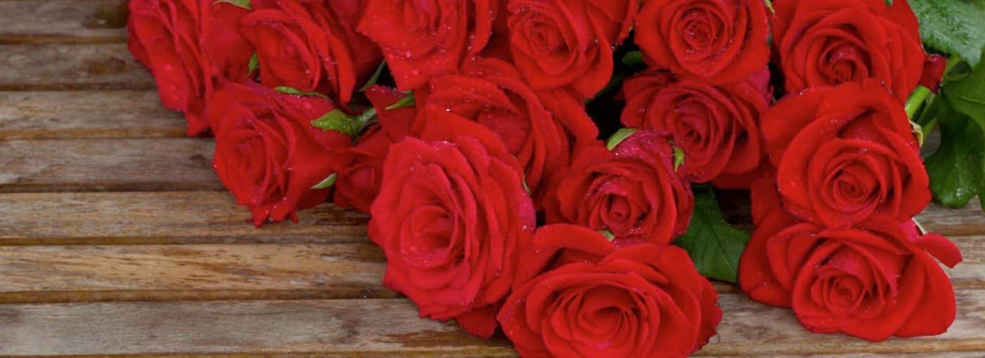 red-naomi-cut-flowers-roses-header-on-thursd