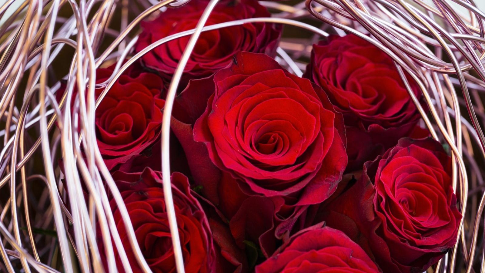 rose-rhodos-cut-flower-on-thursd-facebook