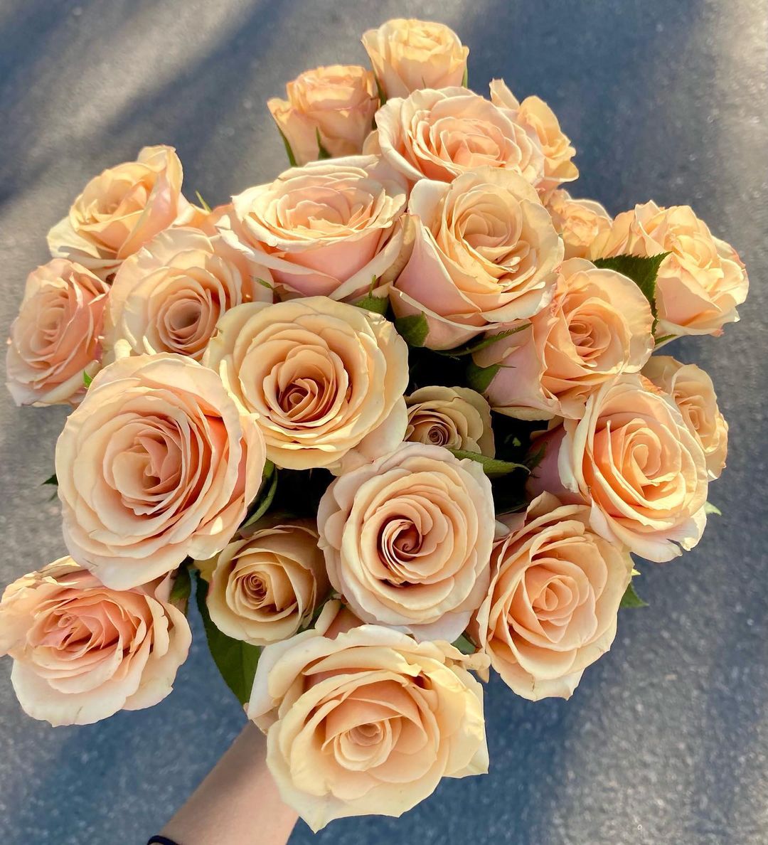 10 Roses That Fit into Your Scorched Earth Color Palette - Article onThursd